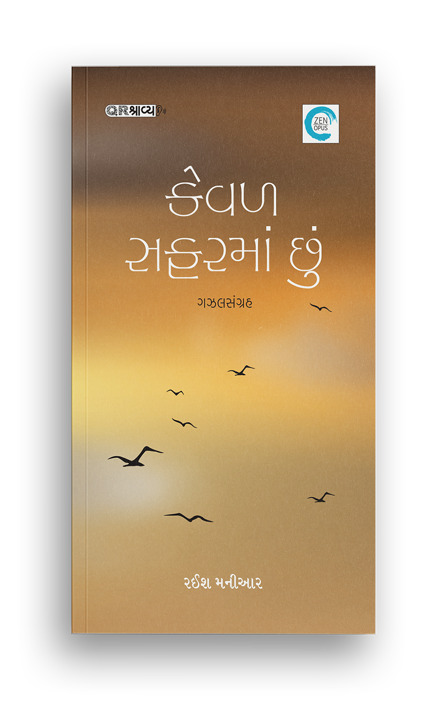 કેવળ સફરમાં છું